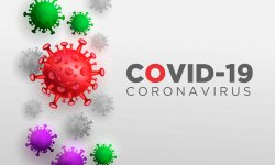 COVID -19 (серпень)